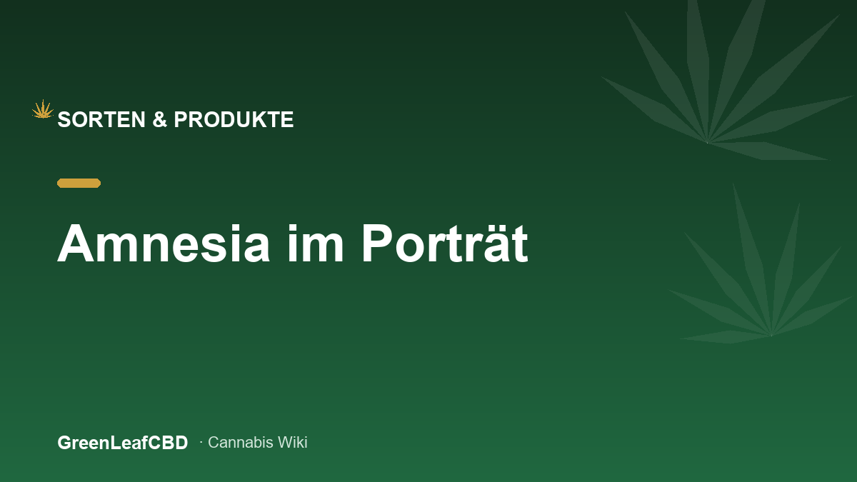 Amnesia-Familie: zitrisch-wuerzige CBD Bluete des Amsterdamer Klassikers