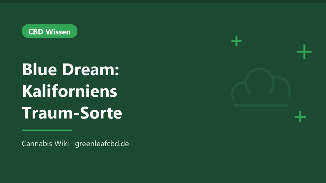 Titelbild: Blue Dream – Kaliforniens Traum-Sorte