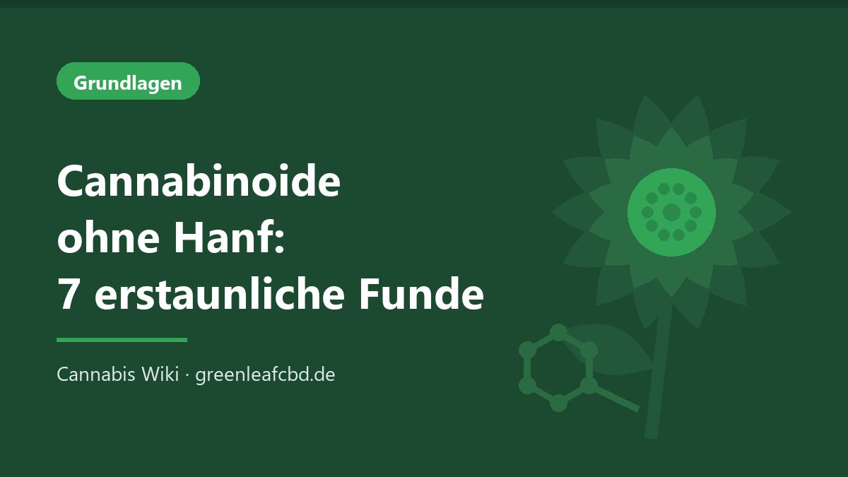 Titelbild: Cannabinoide ohne Hanf – 7 erstaunliche Funde