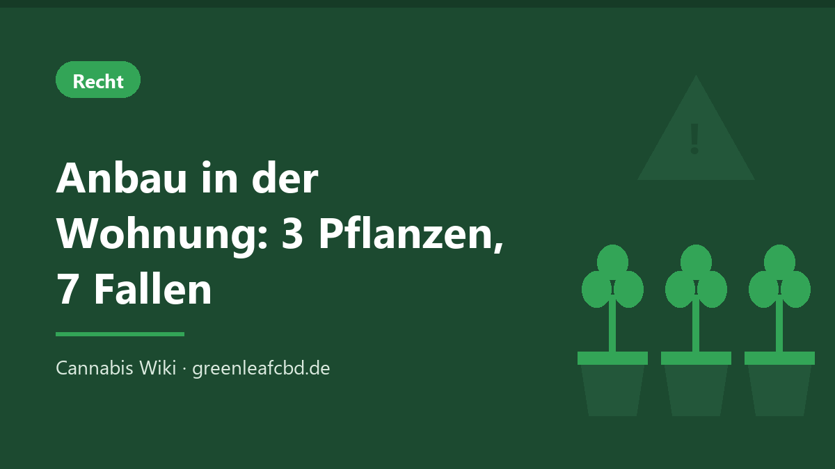 Anbau in der Wohnung: drei Cannabispflanzen im Topf mit Warnsymbol