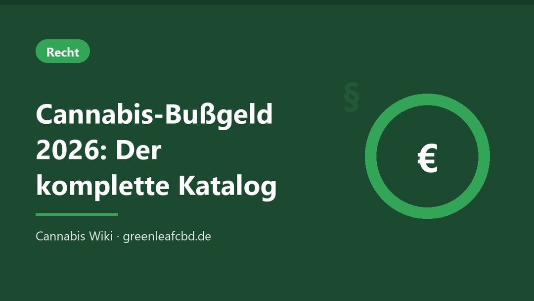 Titelbild: Cannabis-Bußgeld 2026 – der komplette Katalog