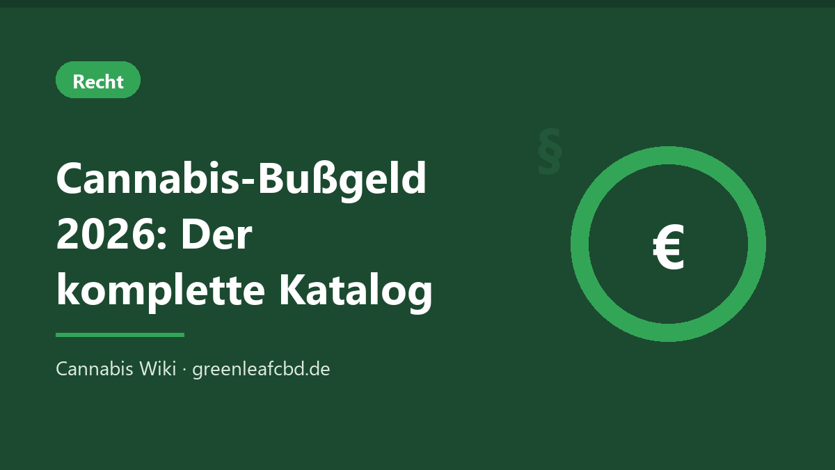 Titelbild: Cannabis-Bußgeld 2026 – der komplette Katalog