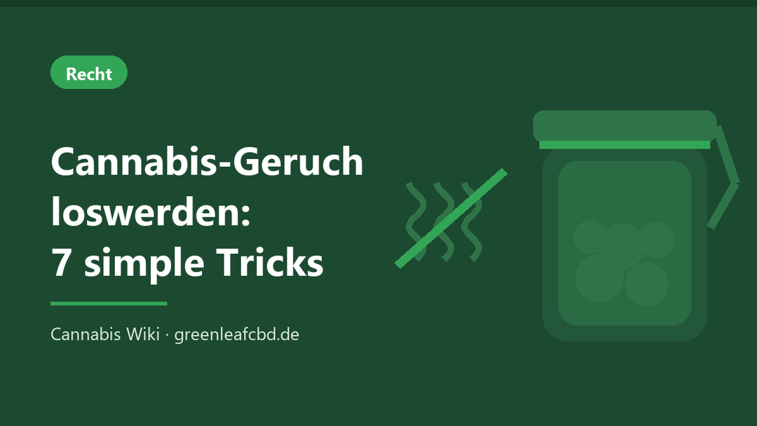 Titelbild: Cannabis-Geruch loswerden – 7 simple Tricks