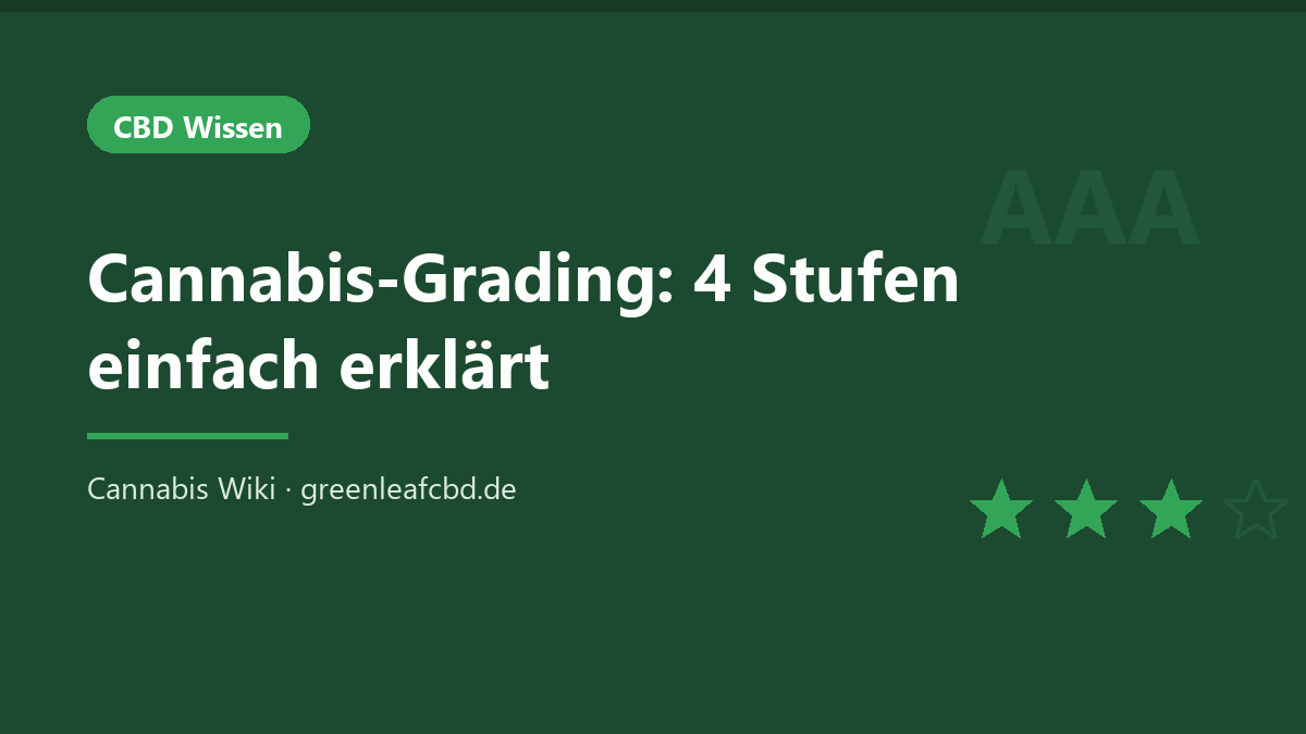Titelbild: Cannabis-Grading – 4 Stufen einfach erklärt