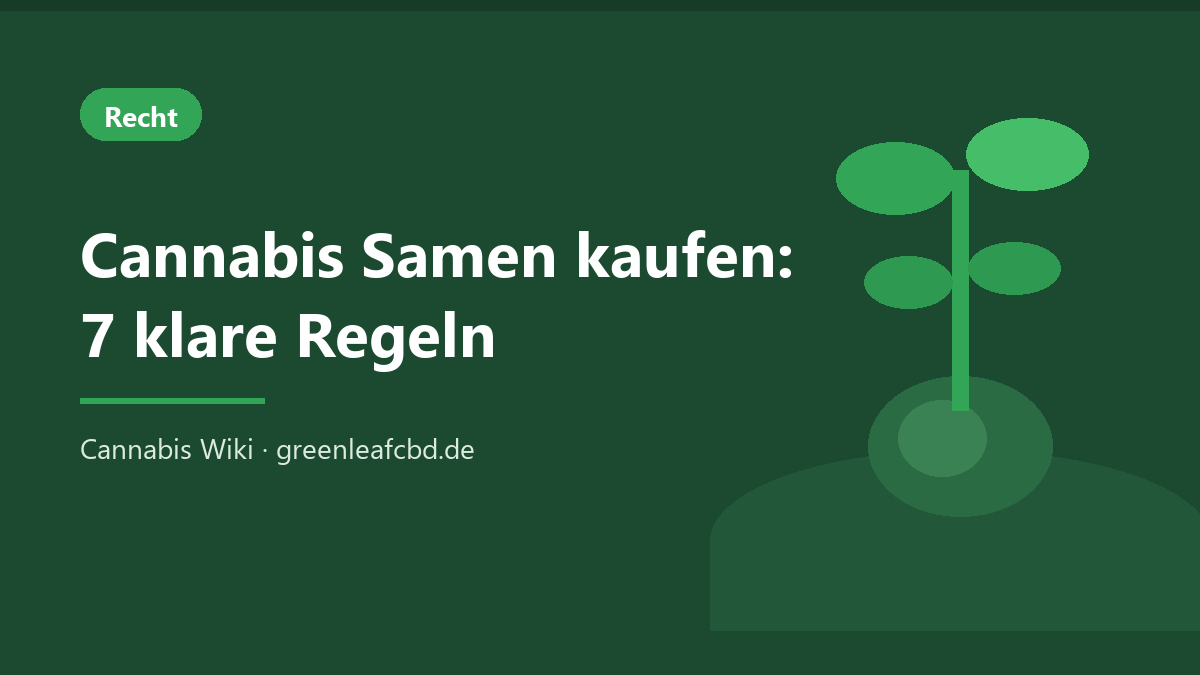 Cannabis Samen kaufen: Titelbild mit Keimling und den 7 Regeln des Konsumcannabisgesetzes