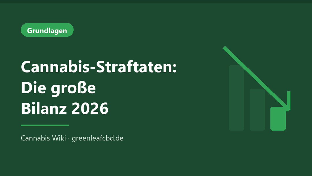 Titelbild: Cannabis-Straftaten – die große Bilanz 2026