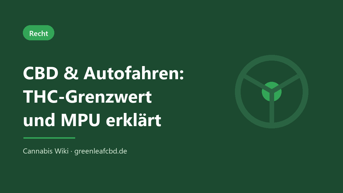 CBD und Autofahren: THC-Grenzwert und MPU erklärt