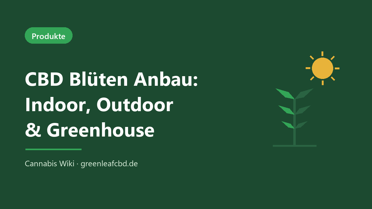 CBD Blüten Anbau – Indoor, Outdoor und Greenhouse