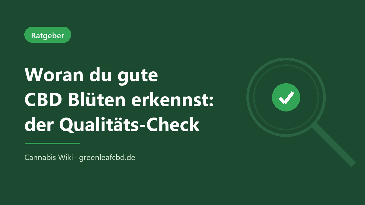 Woran du gute CBD Blüten erkennst – Titelbild: der Qualitäts-Check (Cannabis Wiki, GreenLeafCBD)