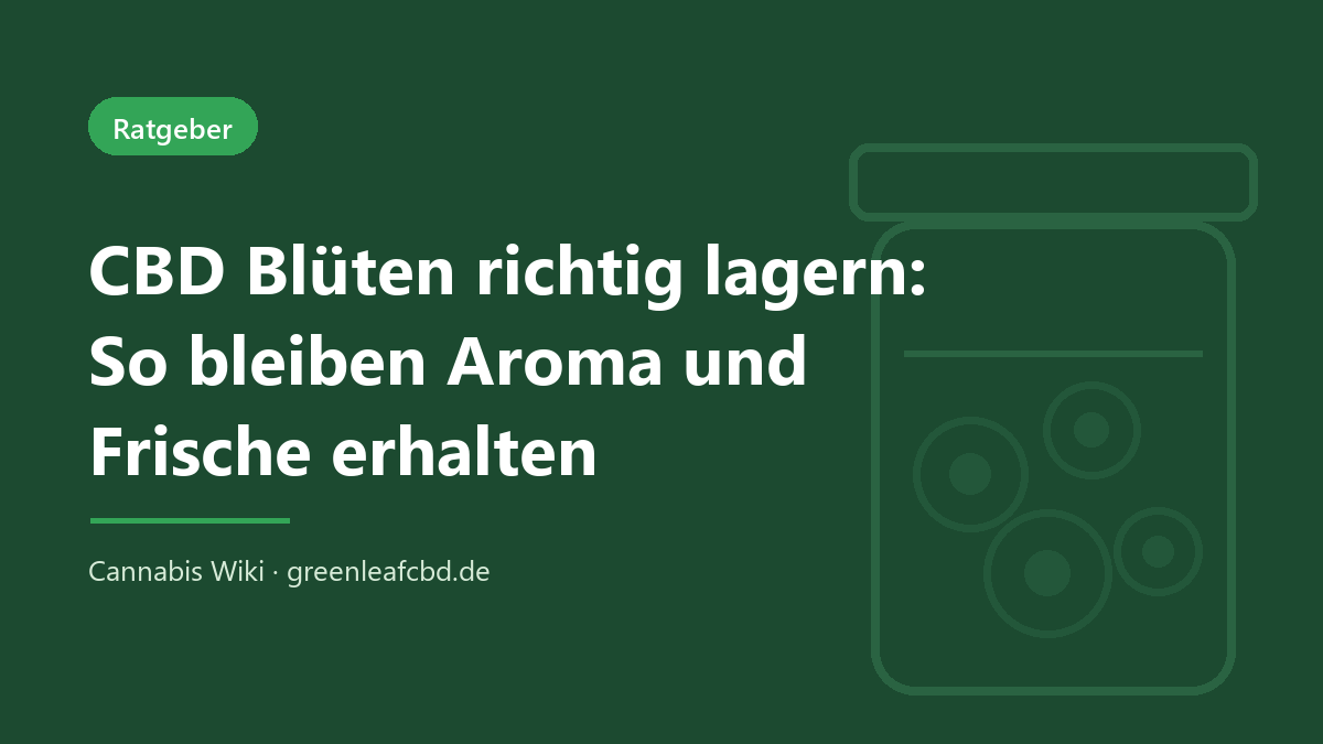 CBD Blüten richtig lagern – Titelbild: So bleiben Aroma und Frische erhalten (Cannabis Wiki, GreenLeafCBD)