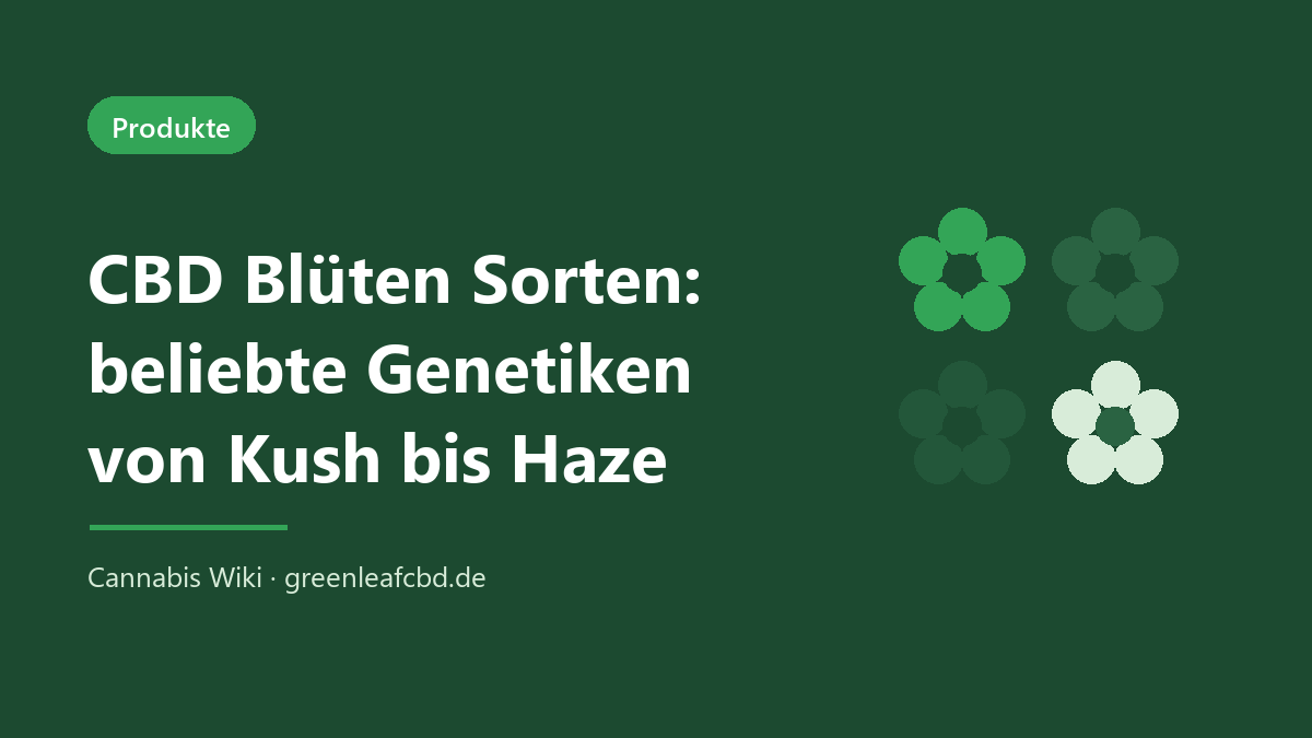 CBD Blüten Sorten – beliebte Genetiken von Kush bis Haze