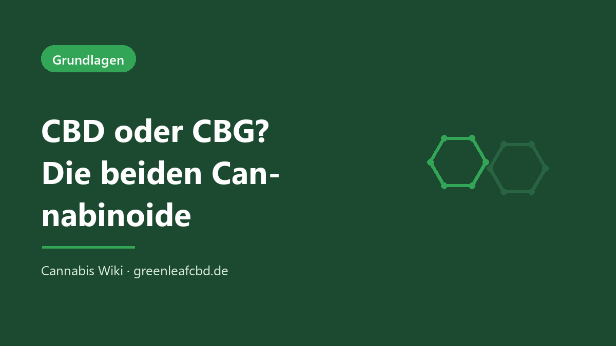 CBD oder CBG – die beiden Cannabinoide der Hanfpflanze im Vergleich