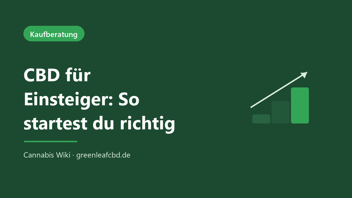 CBD für Einsteiger – so startest du richtig