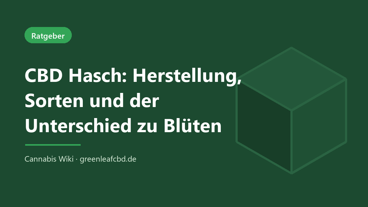 CBD Hasch – Titelbild: Herstellung, Sorten und der Unterschied zu Blüten (Cannabis Wiki, GreenLeafCBD)