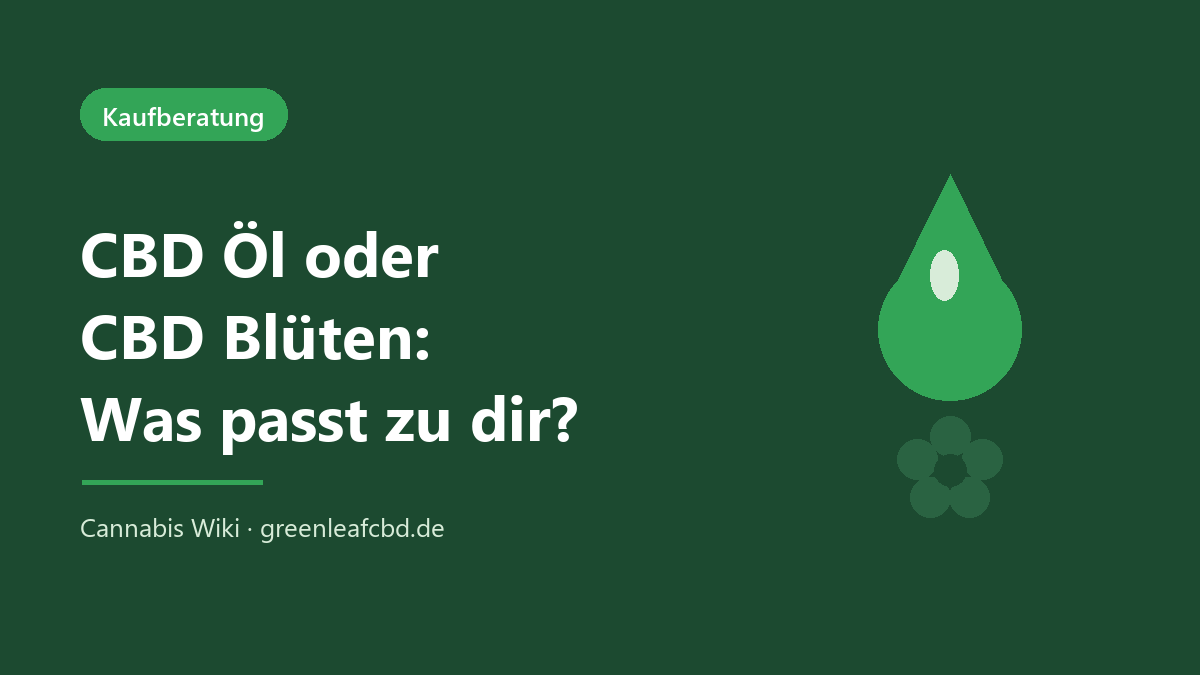 CBD Öl oder CBD Blüten – was passt besser zu dir?