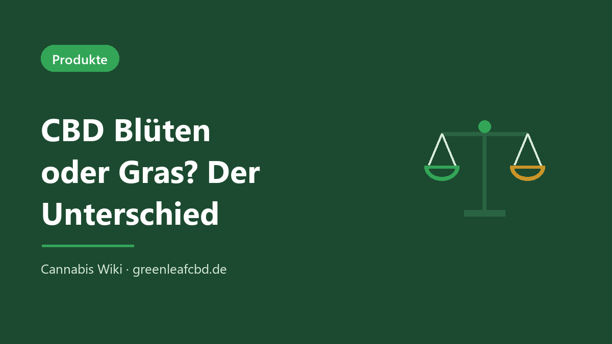CBD Blüten oder Gras – der Unterschied einfach erklärt