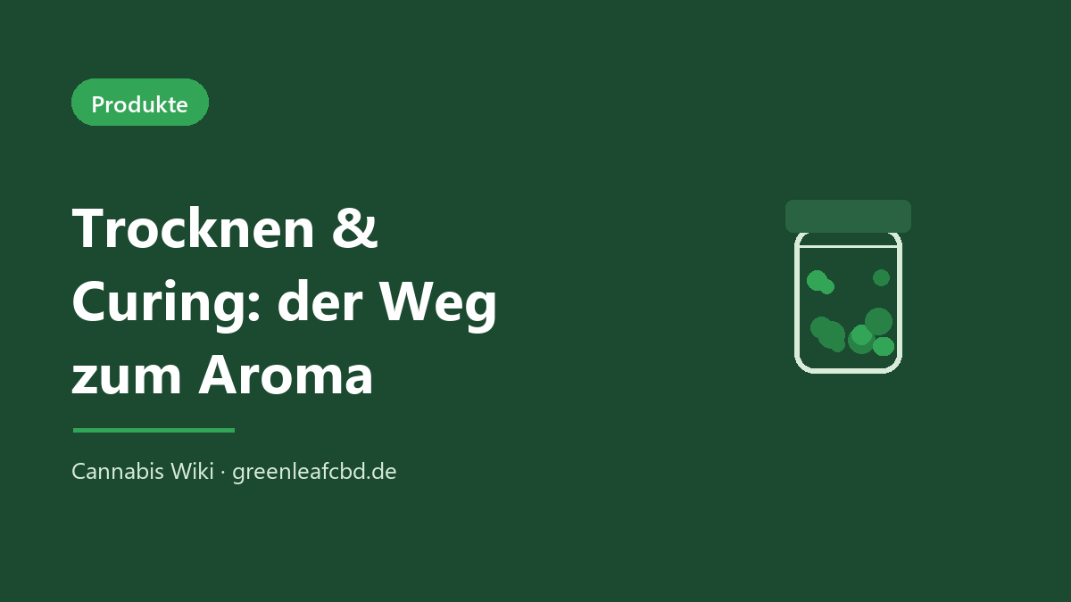 Trocknen und Curing – der Weg zum vollen Aroma der CBD Blüte