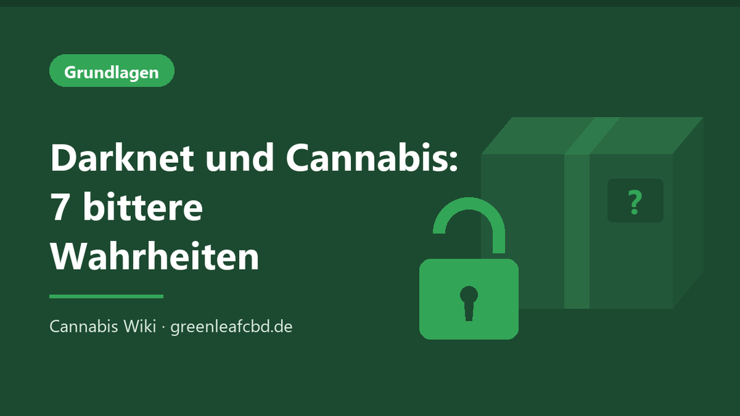 Titelbild: Darknet und Cannabis – 7 bittere Wahrheiten
