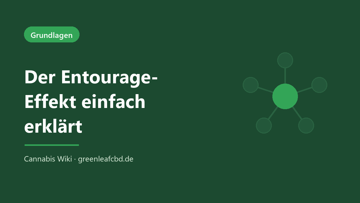 Der Entourage-Effekt einfach erklärt