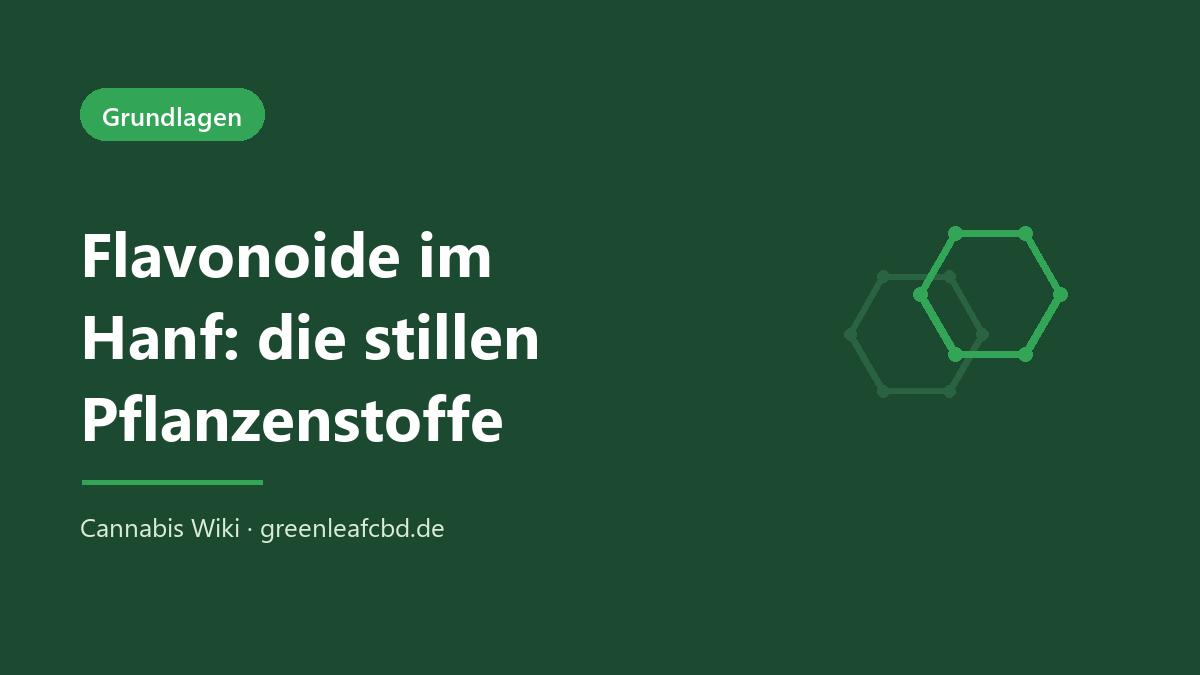 Flavonoide im Hanf – die stillen Pflanzenstoffe der Hanfpflanze