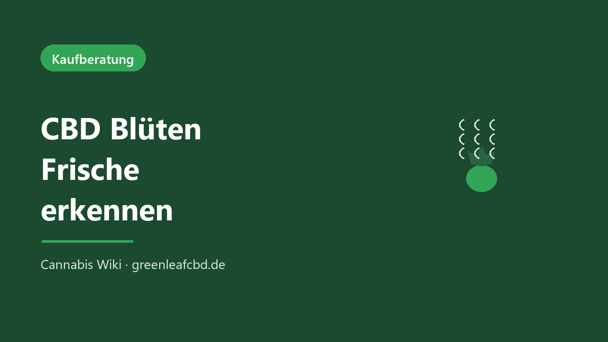 CBD Blüten Frische erkennen: Duft, Farbe, Trichome und Struktur als Merkmale
