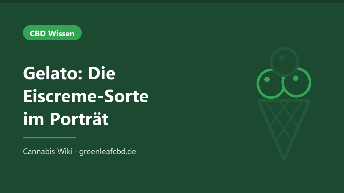 Titelbild: Gelato – die Eiscreme-Sorte im Porträt
