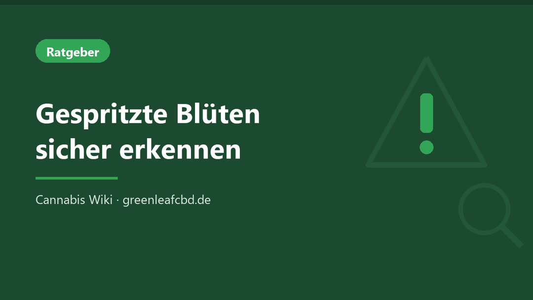 Titelbild: Gespritzte Blüten sicher erkennen – Cannabis Wiki