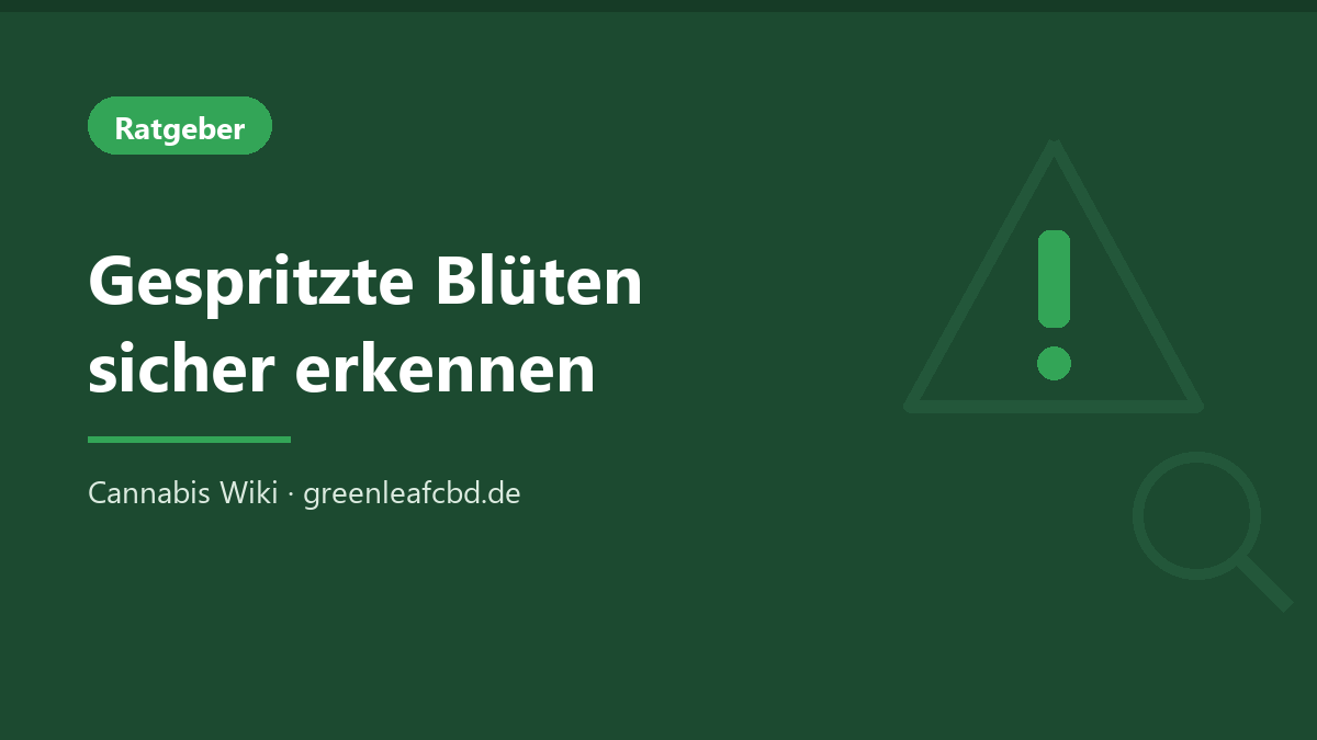 Titelbild: Gespritzte Blüten sicher erkennen – Cannabis Wiki