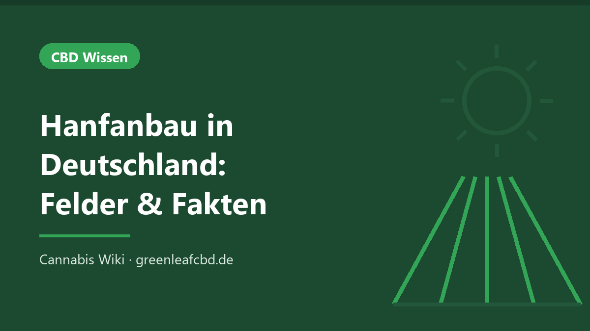 Titelbild: Hanfanbau in Deutschland – Felder & Fakten