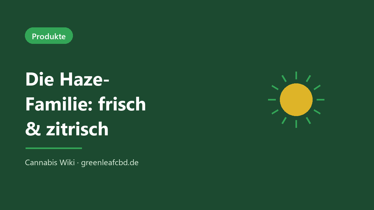 Die Haze-Familie: sativa-geprägte, zitrisch-frische Hanfsorten wie Amnesia Haze und Super Lemon Haze