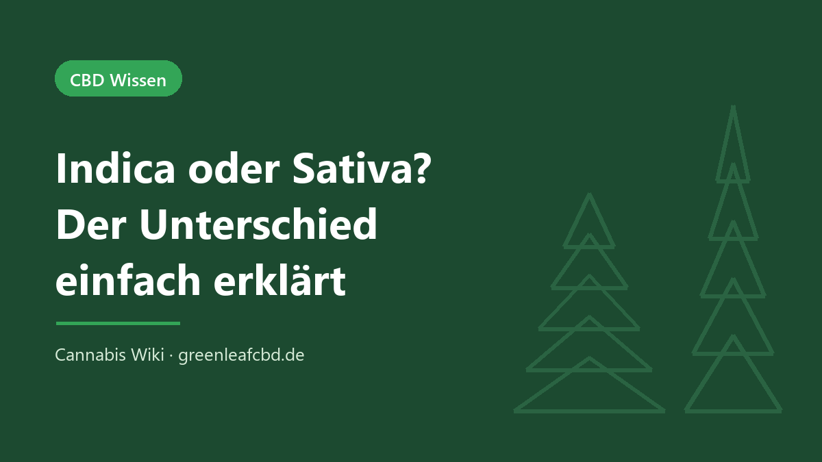 Indica oder Sativa – Titelbild: Der Unterschied einfach erklärt (Cannabis Wiki, GreenLeafCBD)
