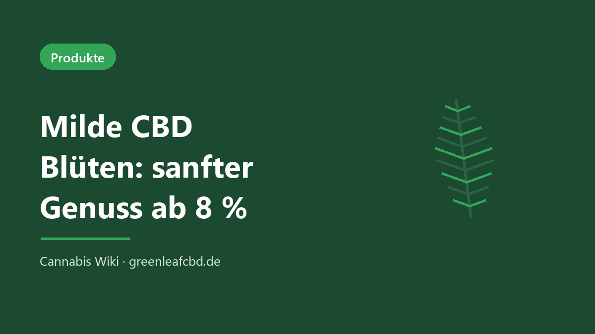 Milde CBD Blüten – sanfter Genuss ab 8 %