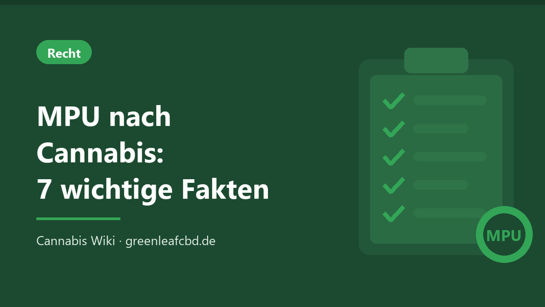 Titelbild: MPU nach Cannabis – 7 wichtige Fakten