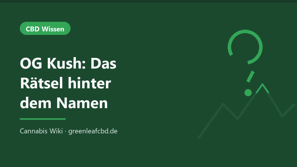 Titelbild: OG Kush – das Rätsel hinter dem Namen