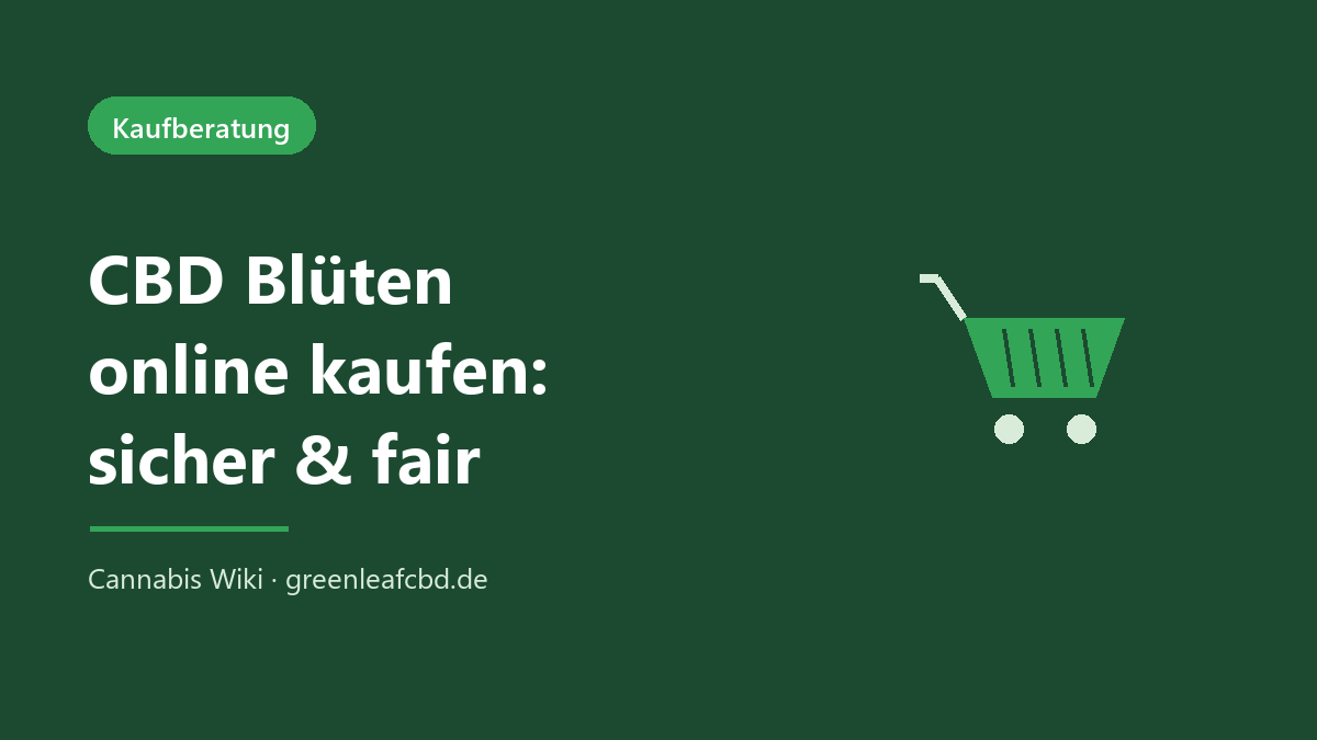 CBD Blüten online kaufen – sicher und fair bestellen