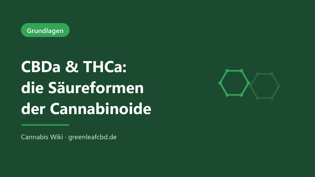 CBDa und THCa: die Säureformen der Cannabinoide und ihre Umwandlung zu CBD und THC