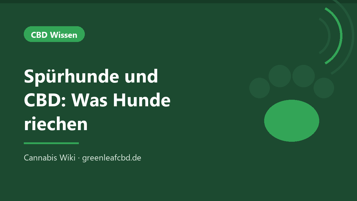 Titelbild: Spürhunde und CBD – was Hunde riechen