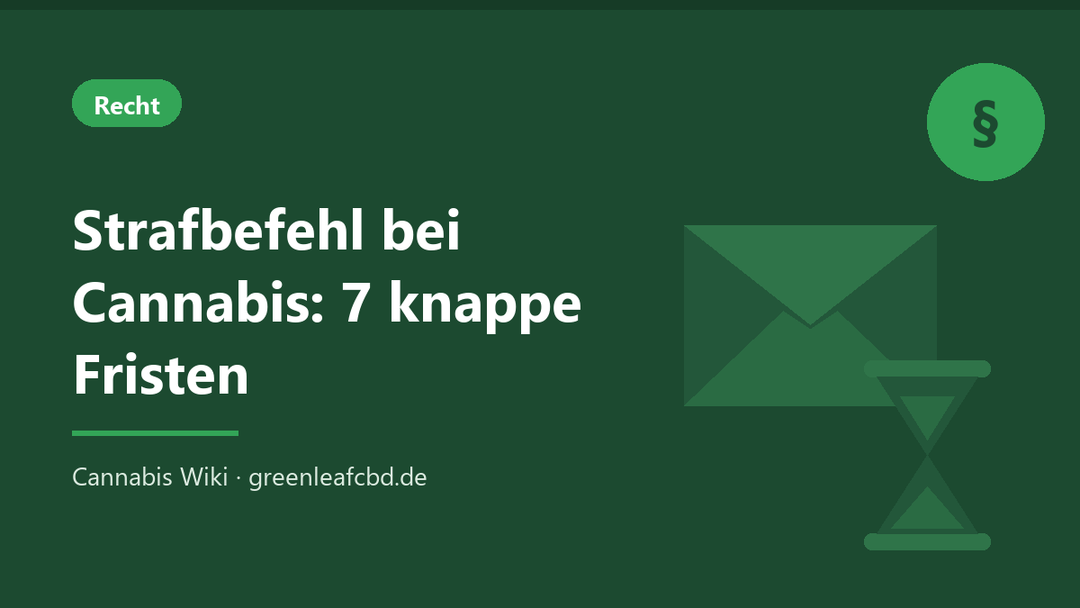Titelbild: Strafbefehl bei Cannabis – 7 knappe Fristen