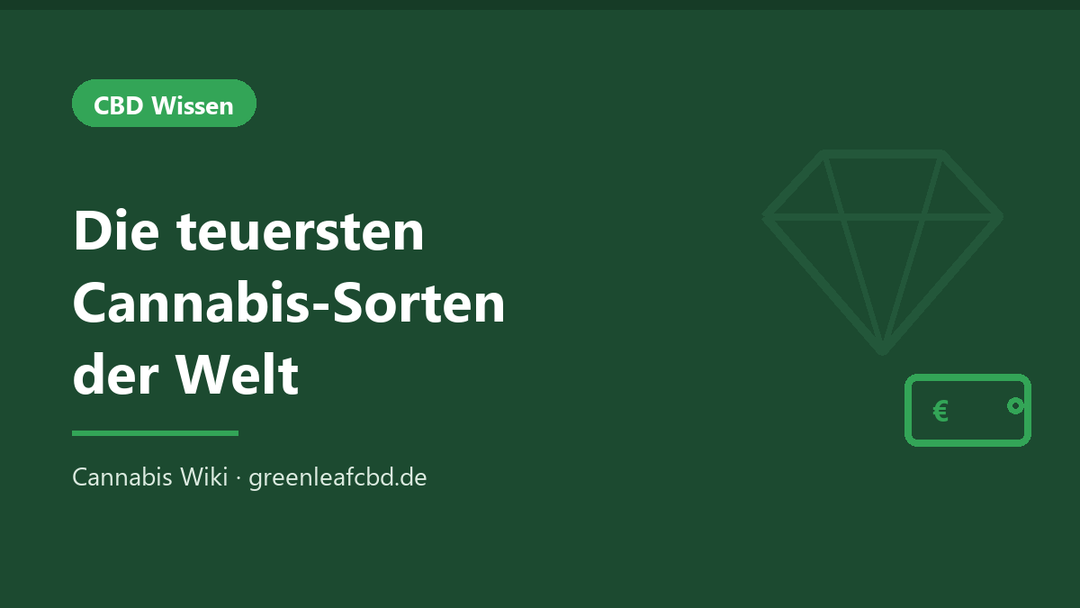 Titelbild: Die teuersten Cannabis-Sorten der Welt