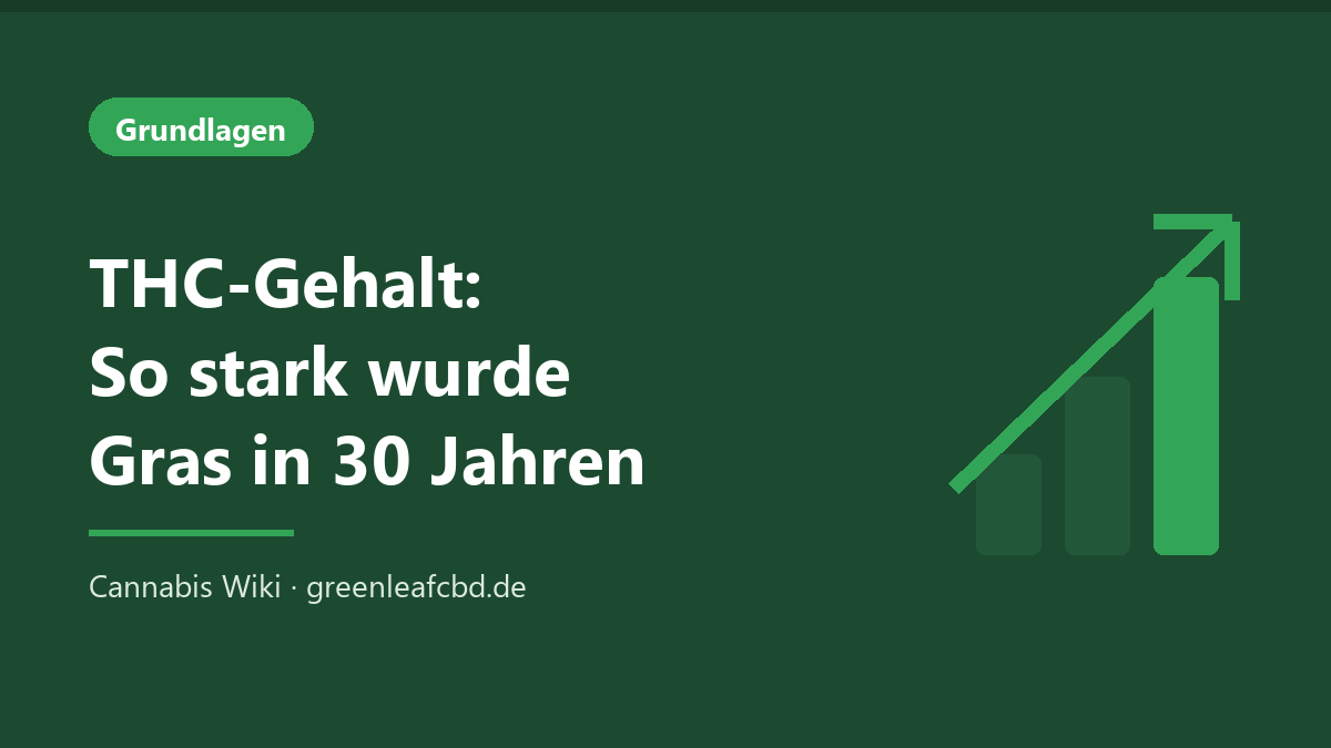 Titelbild: THC-Gehalt – so stark wurde Gras in 30 Jahren
