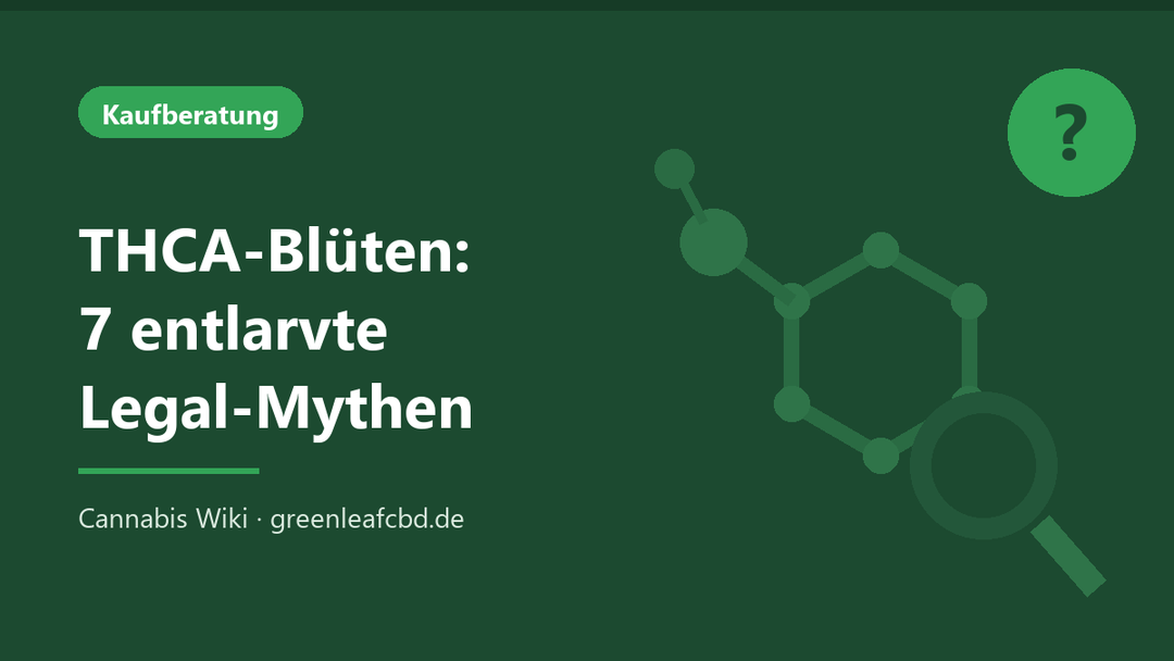 Titelbild: THCA-Blüten – 7 entlarvte Legal-Mythen