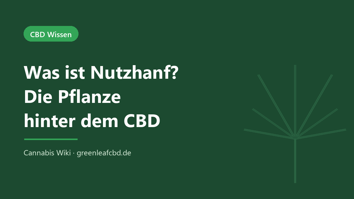 Was ist Nutzhanf – Titelbild: Die Pflanze hinter dem CBD (Cannabis Wiki, GreenLeafCBD)
