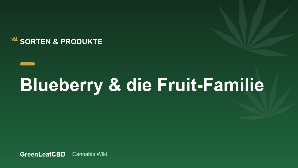 Blueberry-Familie: CBD Bluete mit Beerenaroma und violetten Toenen