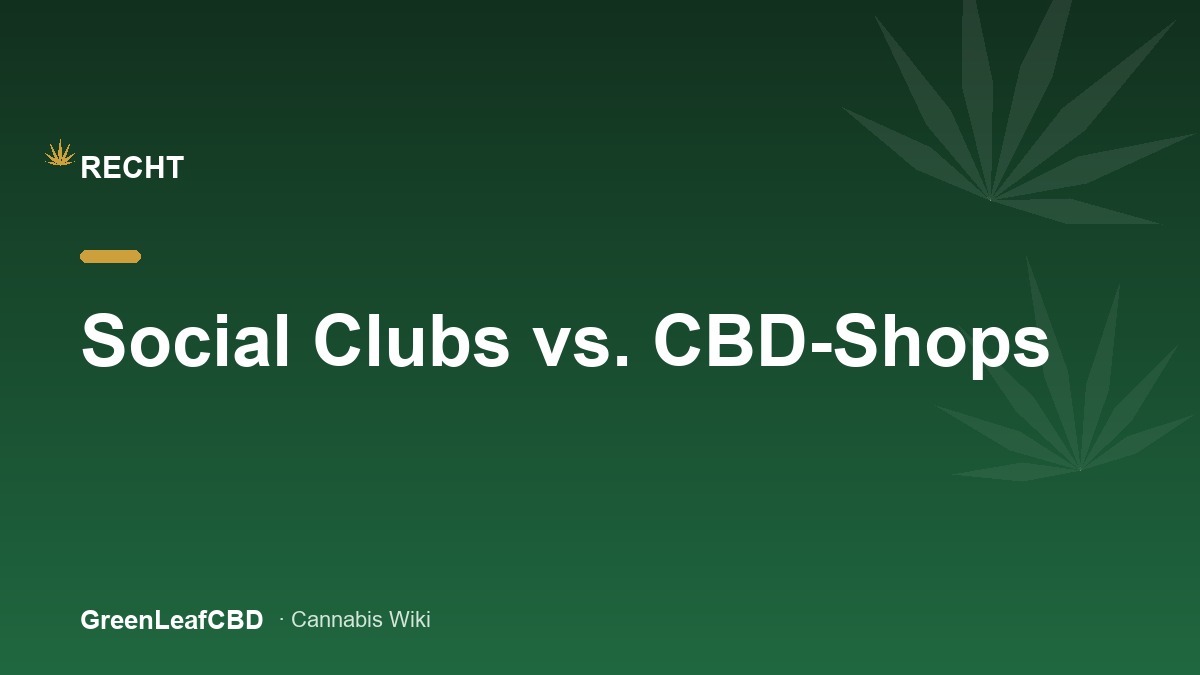 Cannabis Social Club und CBD-Shop im Vergleich: zwei Systeme der neuen Rechtslage