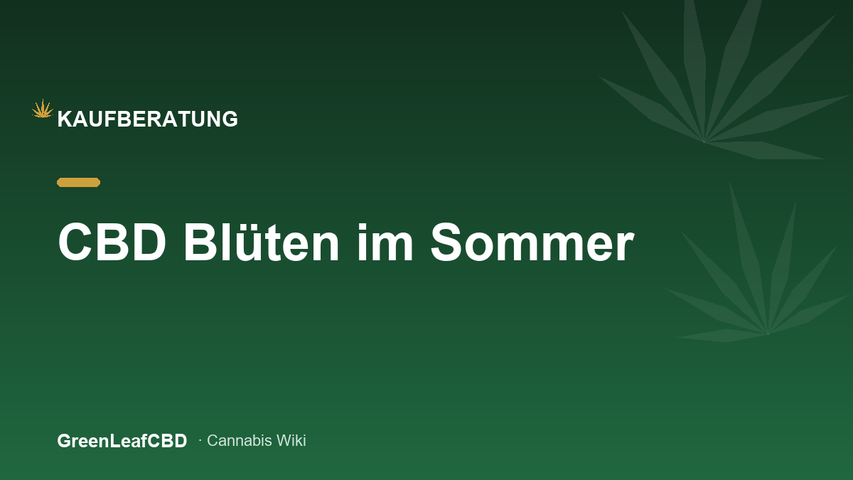 CBD Blueten im Sommer: kuehle, dunkle Lagerung schuetzt vor Hitze