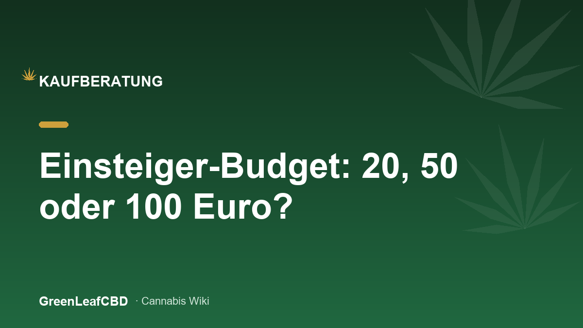 Einsteiger-Budget: 20, 50 oder 100 Euro? - Titelbild