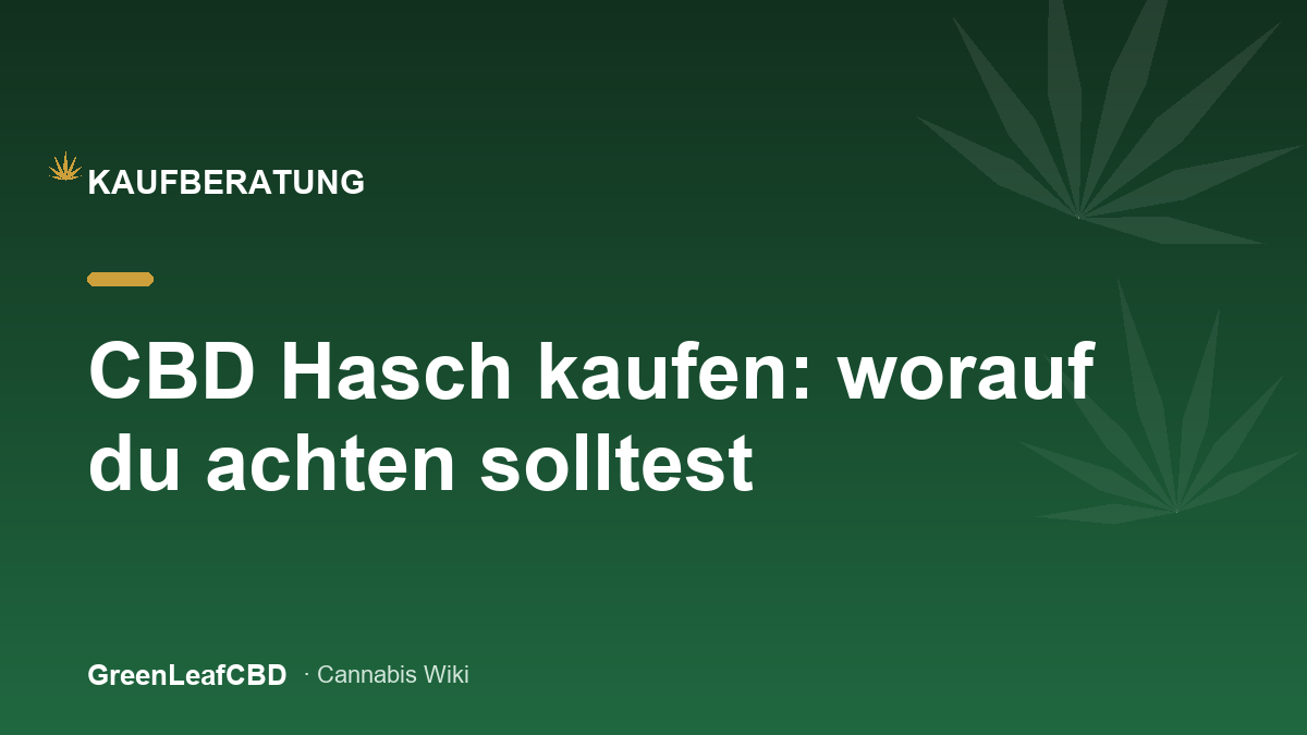 CBD Hasch kaufen: die wichtigsten Qualitaetsmerkmale von Gehalt bis Herkunft