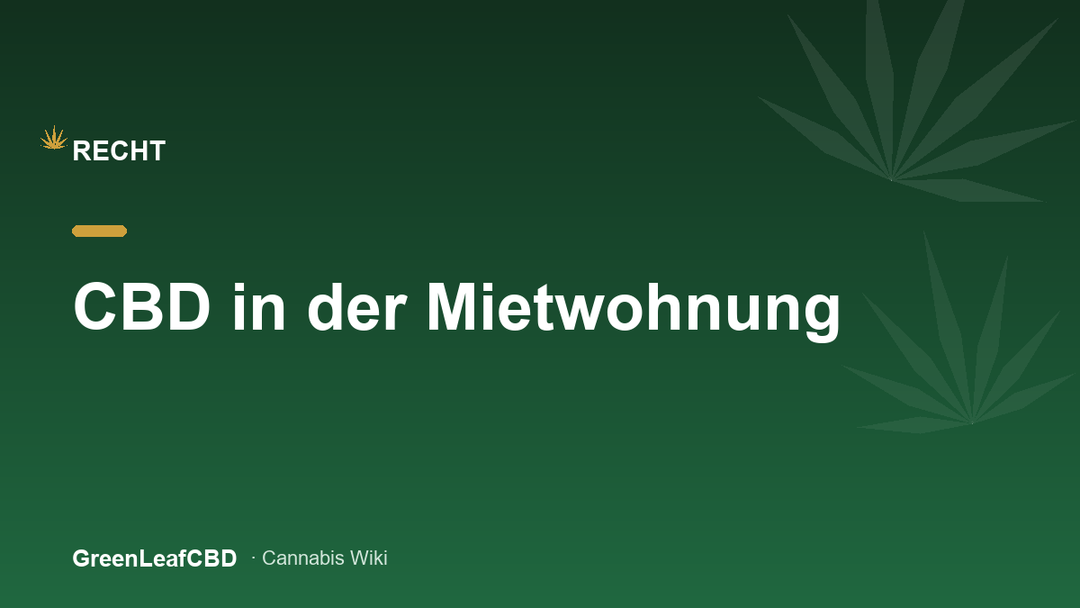 CBD in der Mietwohnung: legale Aufbewahrung im verschlossenen Glas zu Hause