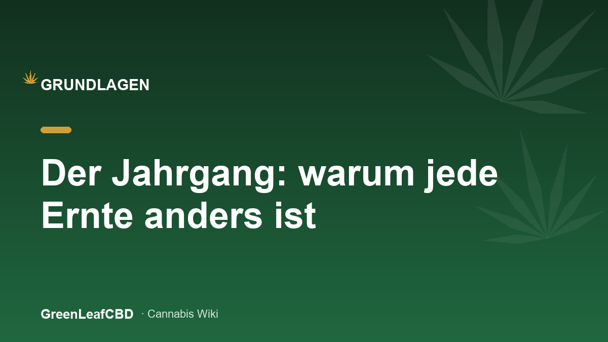 Der Jahrgang: warum jede Ernte anders ist - Titelbild