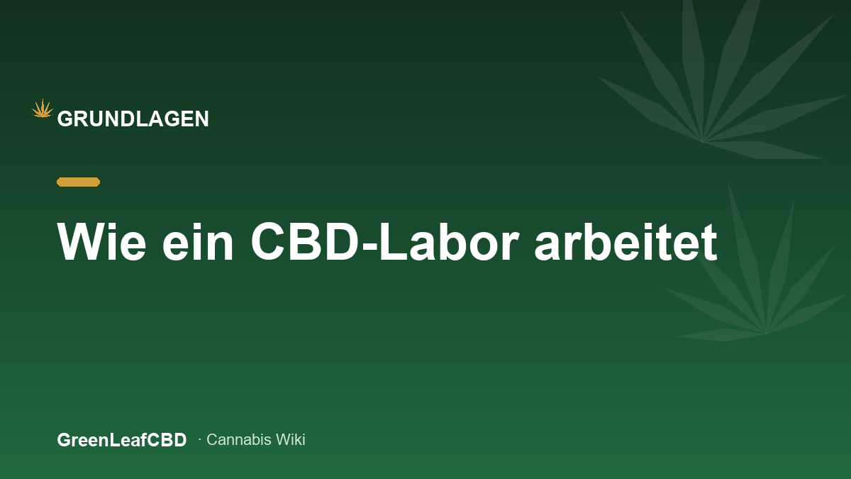 Wie ein CBD-Labor arbeitet: vom Bud zum Wert - Titelbild